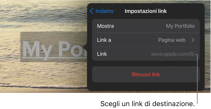 I controlli “Impostazioni link” con i campi Mostra, “Link a” (con “Pagina web” selezionato) e Link. Nella parte inferiore è presente il pulsante “Rimuovi link”.