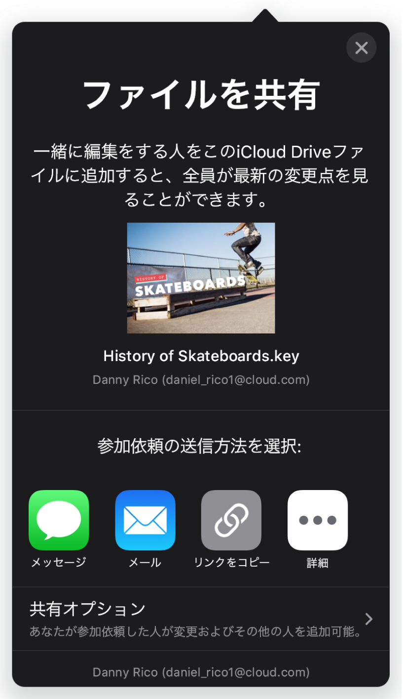 「人を追加」画面。共有されているプレゼンテーションの写真が表示されています。その下には、メール、「リンクをコピー」、「詳細」など、参加依頼を送信する方法のボタンがあります。下部には「共有オプション」ボタンがあります。