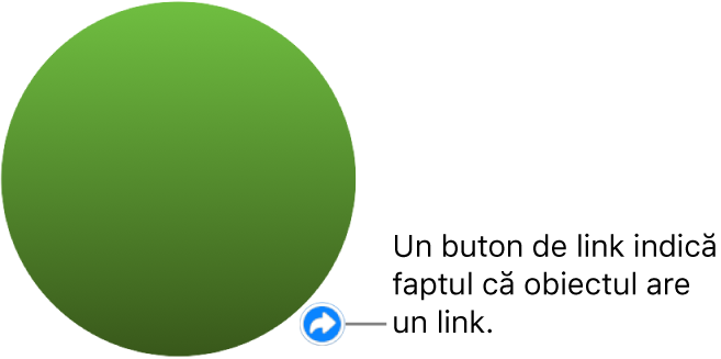 Un buton de link pe o formă.