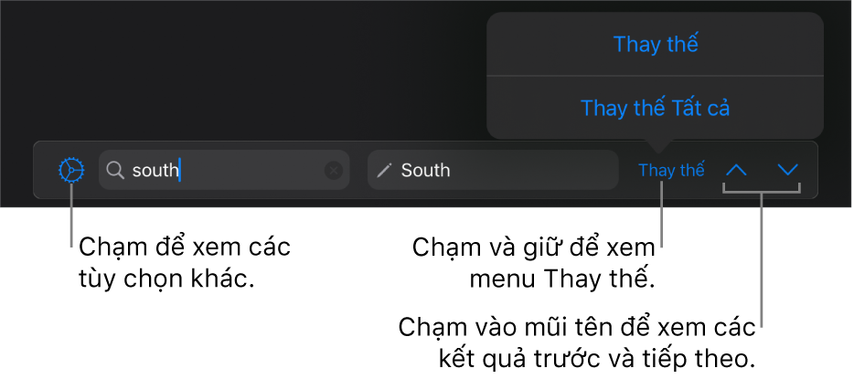 Các điều khiển để tìm và thay thế văn bản.