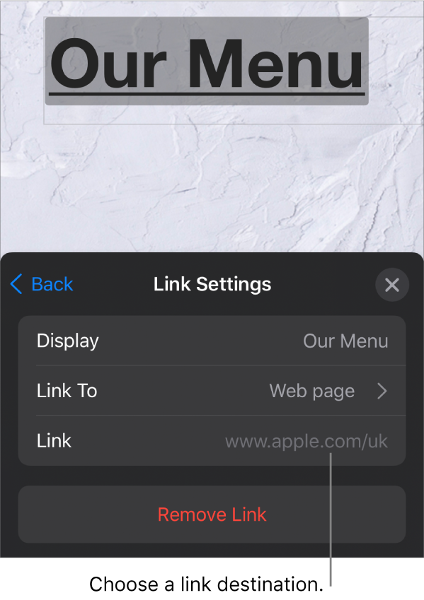 The Link Settings controls with fields for Display, Link To (Web page is selected) and Link. The Remove Link button is at the bottom.