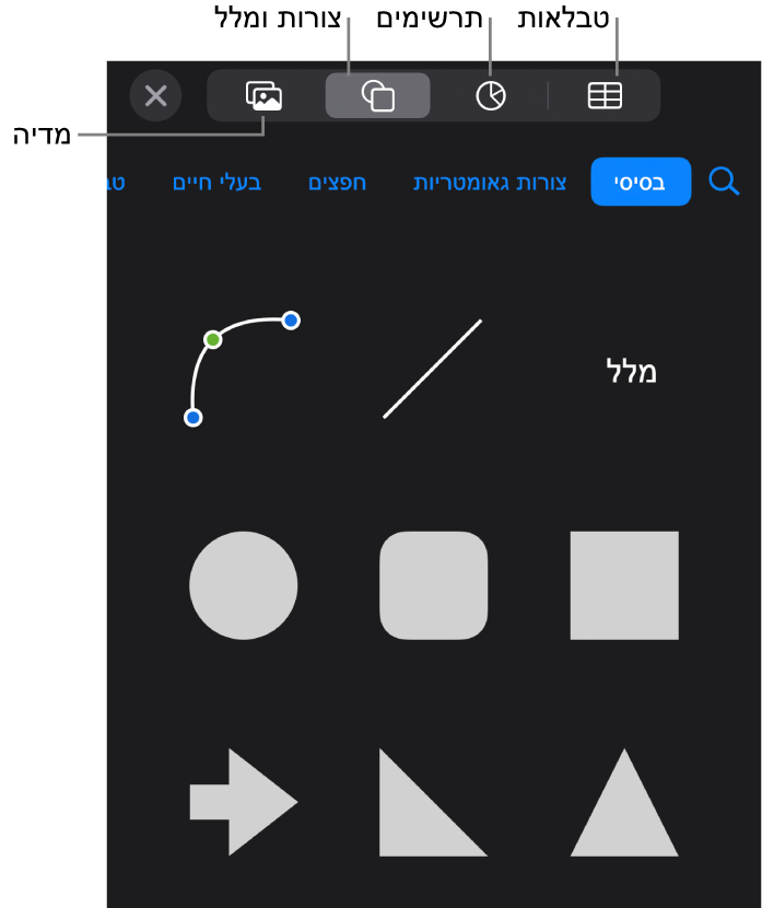 כלי הבקרה להוספת אובייקט, עם כפתורים בחלק העליון לבחירת טבלאות, תרשימים, צורות (כולל קווים ותיבות מלל) ומדיה.