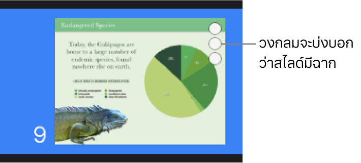 สไลด์ที่มีวงกลมสามวงในมุมขวาบนสุดบ่งบอกว่าสไลด์มีฉากอยู่