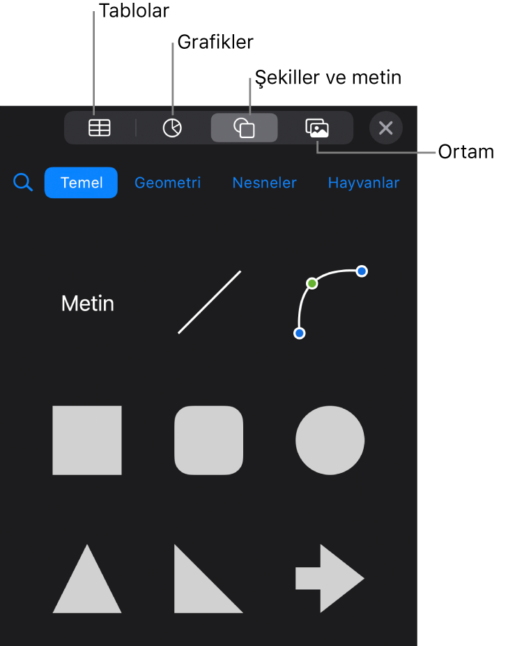 En üstte tablo, grafik, şekil (çizgiler ve metin kutuları da dahil olmak üzere) ve ortam seçme düğmelerini gösteren nesne ekleme denetimleri.