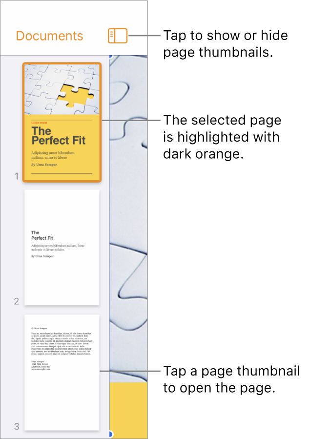 Page Thumbnails view on the left side of the screen with one page selected. The View Options button is above the thumbnails.