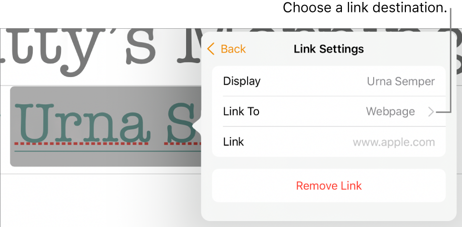 The Link Settings controls with a Display field, Link To (set to Webpage) and Link field. The Remove Link button is at the bottom of the controls.