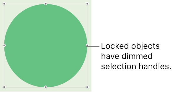 A locked object with dimmed selection handles.