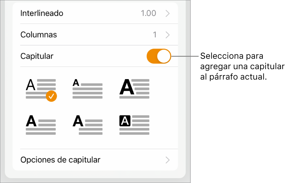 Controles “Letra capitular” ubicados al final del menú Texto.