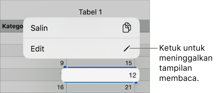 Sel tabel dipilih, dan di atasnya terdapat menu dengan tombol Salin dan Edit.