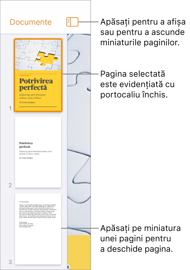 Vizualizarea Miniaturi pagini în partea stângă a ecranului, având selectată o pagină. Butonul Opțiuni de afișare se află deasupra miniaturilor.
