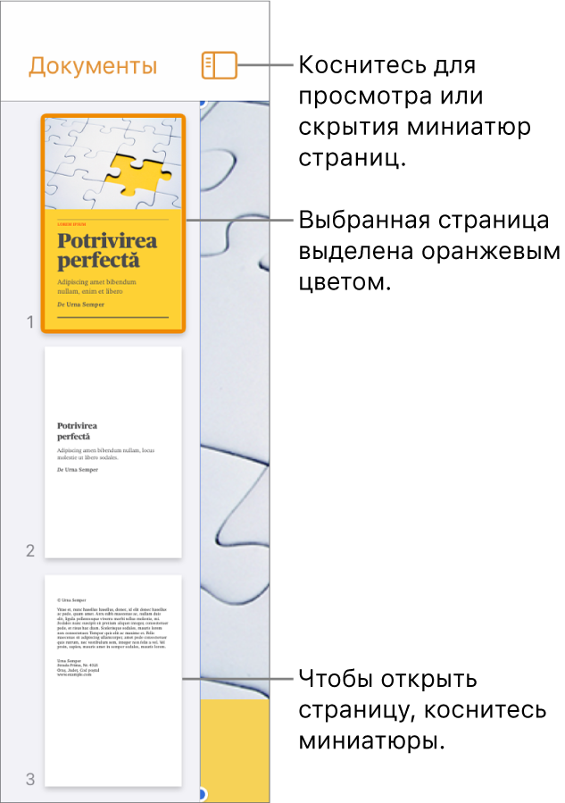 Панель «Миниатюры страниц» в левой части экрана. Показаны: раздел, состоящий из двух страниц, разделительная линия и одна страница следующего раздела. Кнопка «Вид» расположена над миниатюрами.