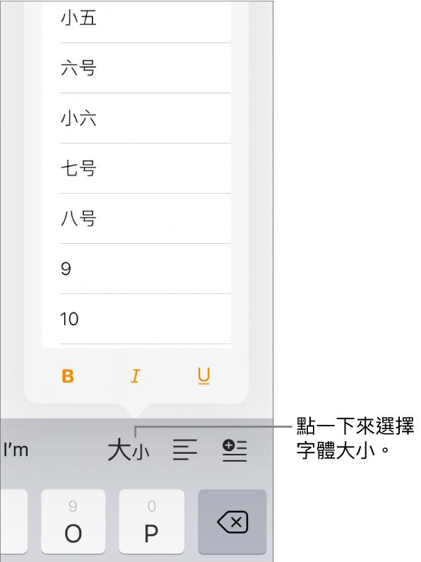 位於 iPad 鍵盤右側的「字體大小」按鈕，已開啟「字體大小」選單。選單最上方會顯示中國大陸政府標準字體大小，下方則顯示點的大小。
