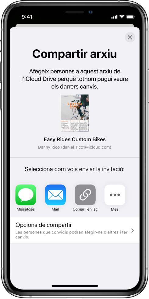 Pantalla “Afegir persones”, que mostra una imatge del document que s’ha de compartir. A sota hi ha els botons amb maneres d’enviar la invitació, com ara l’app Missatges i el Mail, “Copiar l’enllaç” i Més. A la part inferior hi ha el botó “Opcions de compartir”.