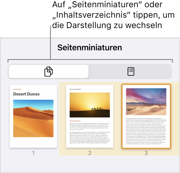 Die Miniaturdarstellung der Seiten mit einer Miniatur jeder Dokumentseite. Die Taste „Seitenminiaturen“ und die Taste „Inhaltsverzeichnis“ unten auf dem Bildschirm.