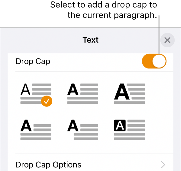 The Drop Cap controls located at the bottom of the Text menu.