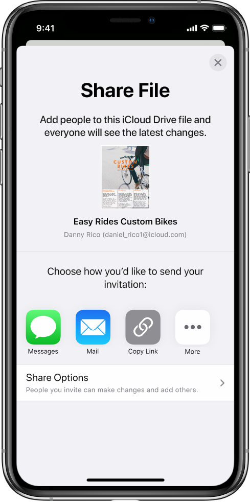 The Add People screen showing a picture of the document to be shared. Below it are buttons for ways to send the invitation, including Messages and Mail, Copy Link and More. At the bottom is the Share Options button.