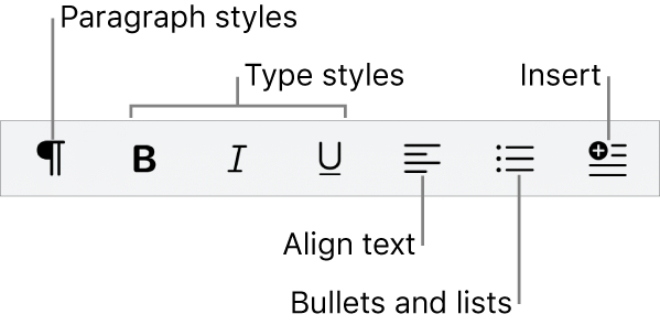 The Quick Format bar, showing icons for paragraph styles, type styles, text alignment, bullets and lists, and inserting elements.