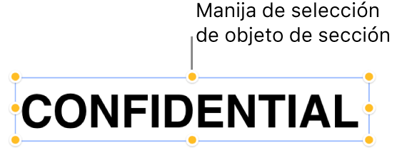 Un objeto con manijas de selección.