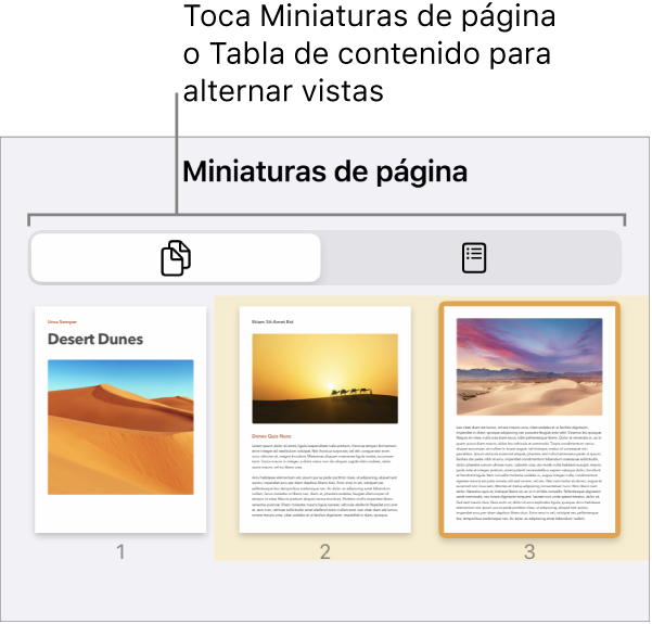 Visualización de miniaturas de página con imágenes en miniatura de cada página. Los botones “Miniaturas de página” y “Tabla de contenido” están en la parte inferior de la pantalla.
