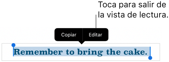 Hay seleccionada una oración y encima de ella aparece un menú contextual con botones Copiar y Editar.