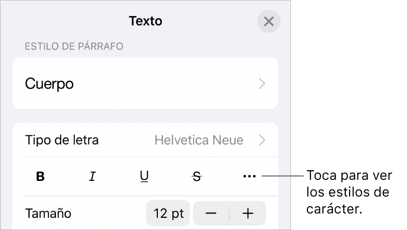 Los controles de Formato con los botones Negrita, Cursiva, Subrayado Tachado y “Más opciones de texto”