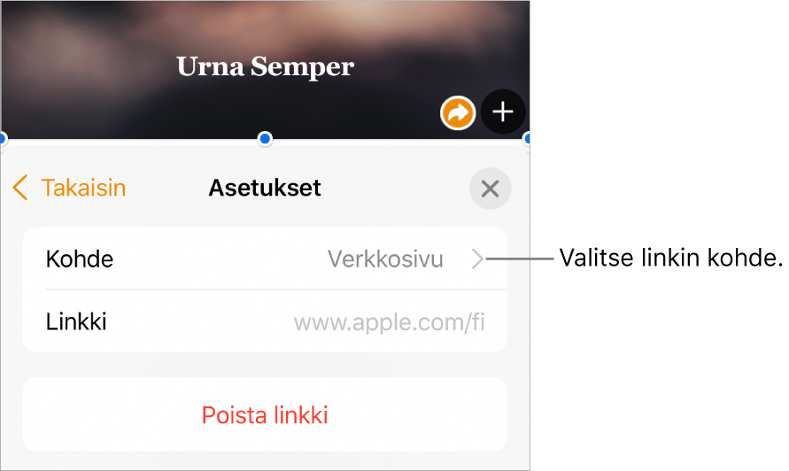 Linkkiasetukset-säätimet, joissa on Näytä-kenttä, Linkitys (asetettuna Verkkosivu) ja Linkki-kenttä. Poista linkki -painike on säätimien alaosassa.