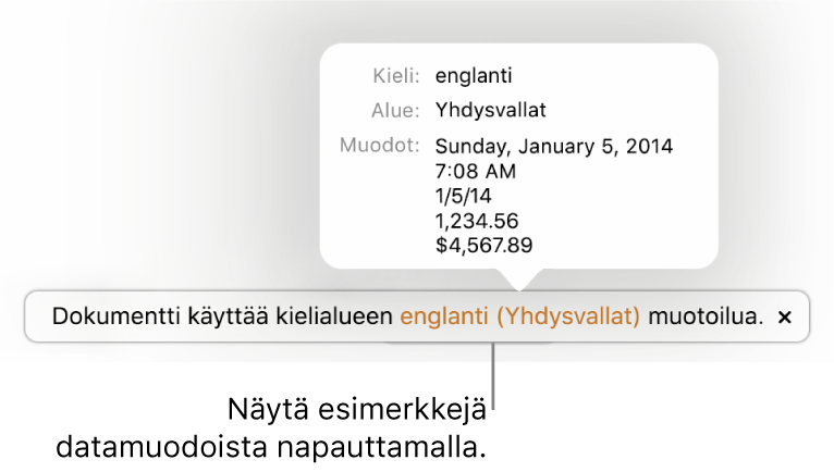 Eri kieli- ja alueasetuksen ilmoitus, jossa on esimerkkejä kyseisen kielen ja alueen muotoilusta.