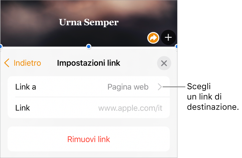 I controlli “Impostazioni link” con un campo Mostra, “Link a” (impostato su “Pagina web”) e il campo Link. Nella parte inferiore dei controlli è presente il pulsante “Rimuovi link”.