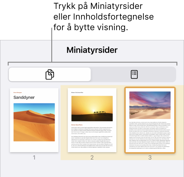 Sideminiatyrvisning med miniatyrbilder av hver side. En Sideminiatyr-knapp og en Innholdsfortegnelse-knapp er nederst på skjermen.