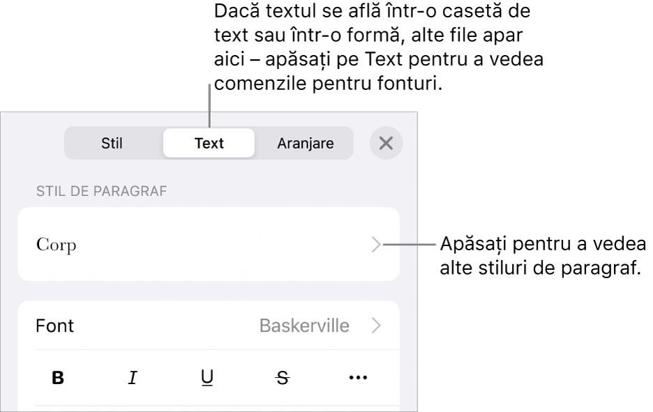 Meniul Format afișând comenzi de text pentru configurarea stilurilor, fonturilor, dimensiunii și culorii paragrafelor și caracterelor.