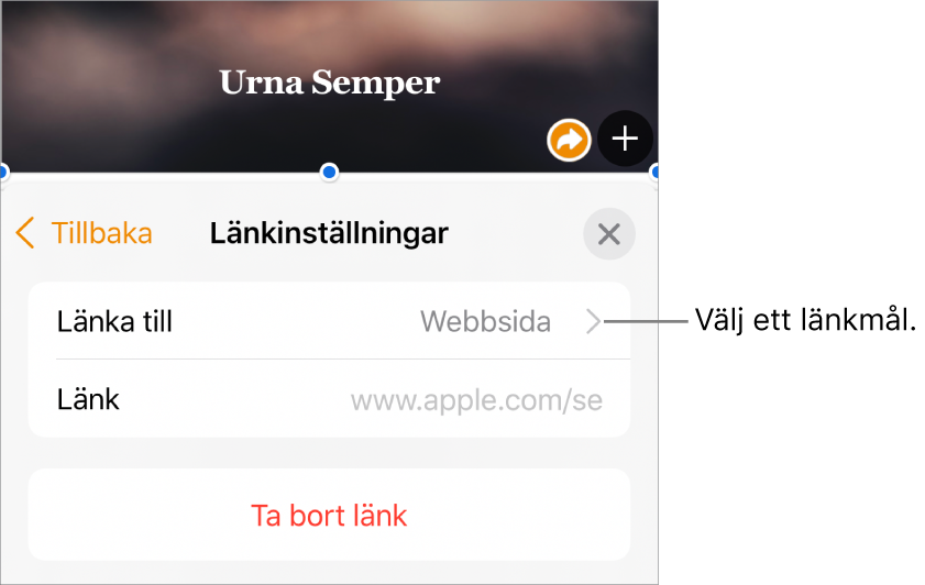 Reglage för länkinställningar med fältet Visa, Länka till (inställt på Webbsida) och fältet Länk. Längst ned bland reglagen finns knappen Ta bort länk.