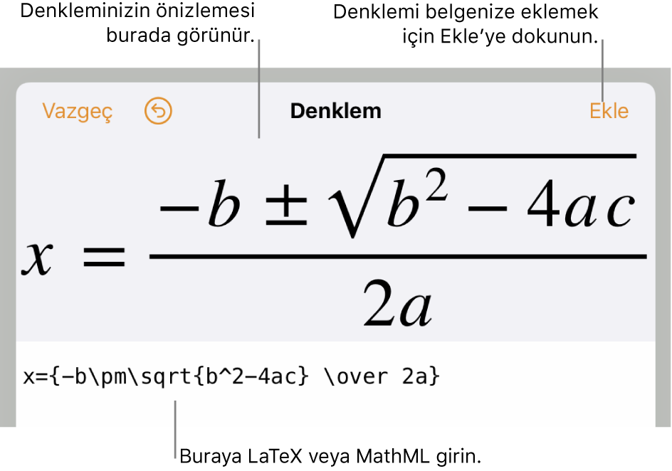 LaTeX komutları kullanılarak yazılmış ikinci dereceden bir formülü ve onun üstünde formülün önizlemesini gösteren Denklem sorgu kutusu.