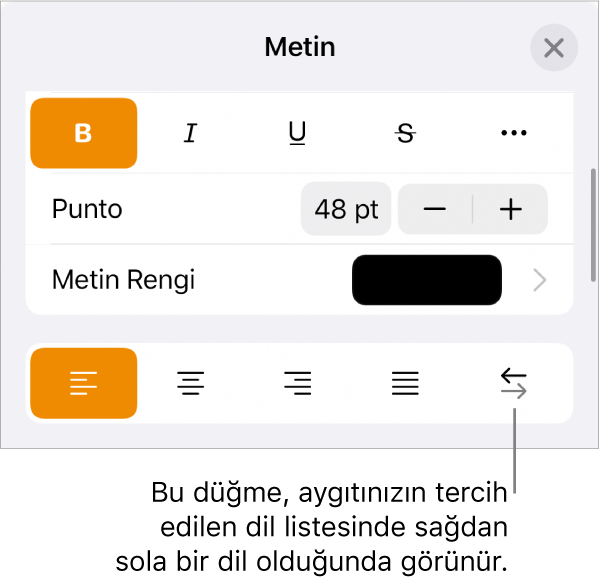 Sağdan Sola düğmesini gösteren bir belirtme çizgisi ile Biçim menüsündeki metin denetimleri.