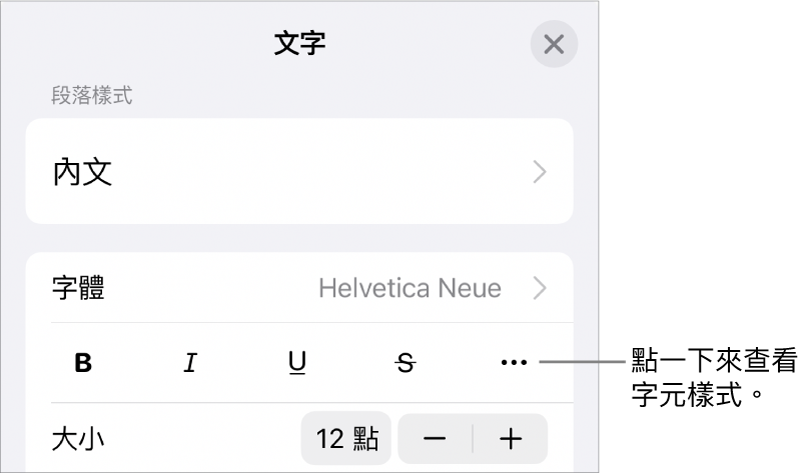 具備「粗體」、「斜體」、「底線」、「刪除線」和「更多文字選項」按鈕的「格式」控制項目。