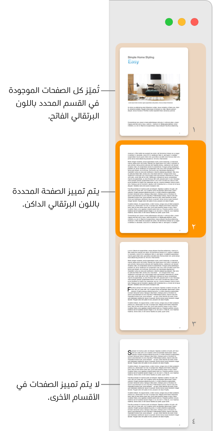 الشريط الجانبي "عرض الصور المصغرة" وبه الصفحة المحددة مميزة باللون البرتقالي الداكن وجميع الصفحات في القسم المحدد مميزة باللون البرتقالي الفاتح.
