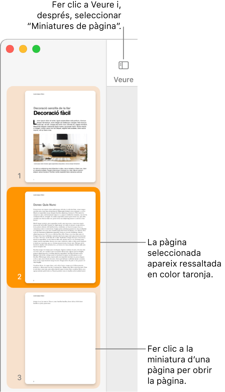 La barra lateral a la part esquerra de la finestra del Pages amb la vista “Miniatures de pàgina” oberta i una pàgina seleccionada que es mostra destacada en color taronja fosc.