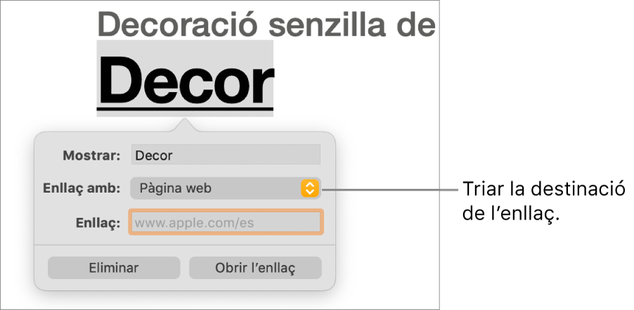 Els controls de l’editor d’enllaços amb el camps Mostrar, el menú desplegable “Enllaçar a” (definit com a pàgina web) i el camp Enllaç. Els botons Eliminar i “Obrir l’enllaç” a la part inferior dels controls.