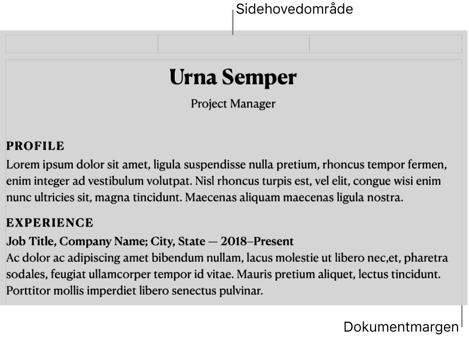 Layoutoversigt med området til sidehoved og dokumentmargener.