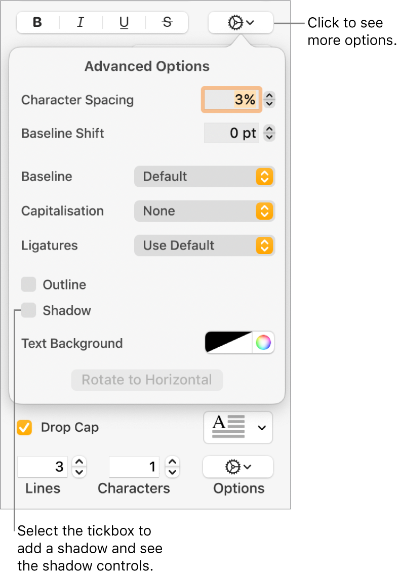 The Advanced Options menu open with the Shadows tickbox selected and controls for setting blur, offset, opacity, angle and colour.
