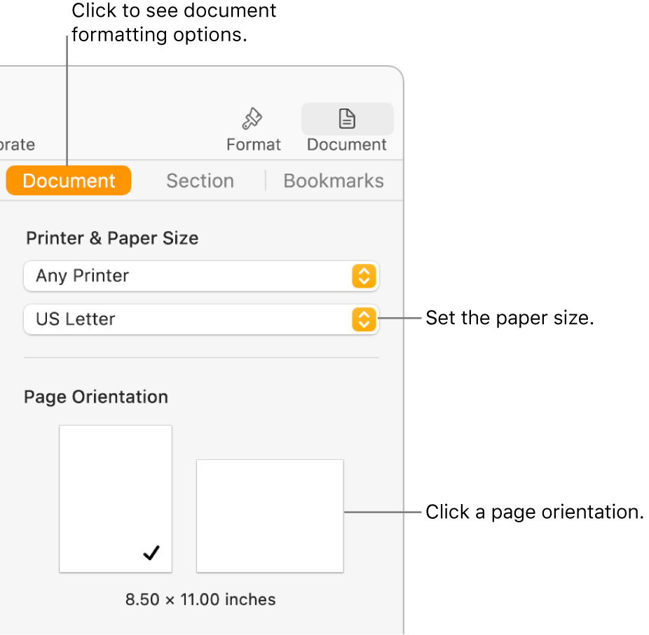 The Document sidebar with the Document tab at the top of the sidebar selected. In the sidebar are a pop-up menu to set paper size, and buttons for portrait and landscape page orientation.