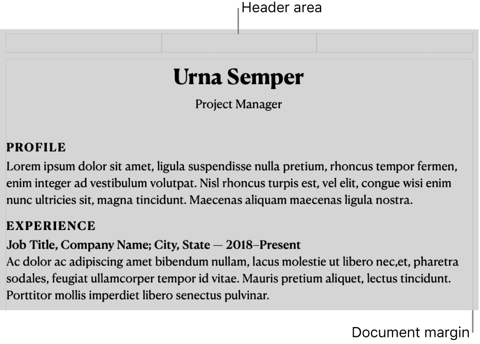 Layout view showing header area and document margins.