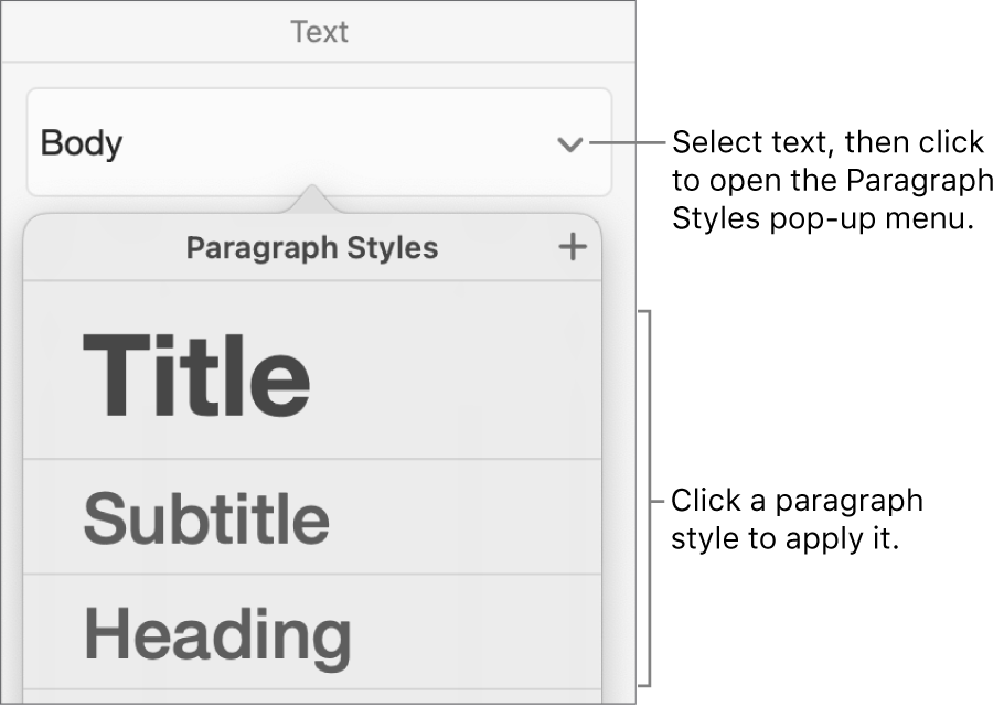 The Paragraph Styles menu.