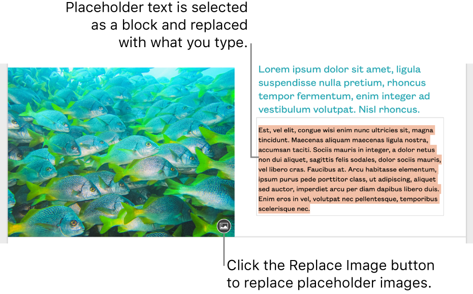Placeholder text and images.