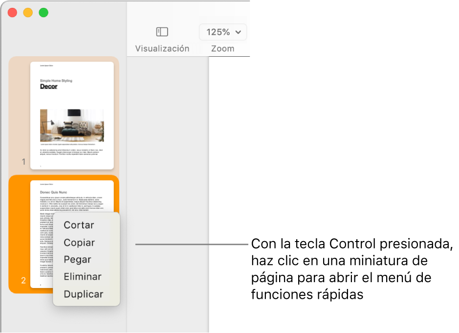 Visualización de miniaturas de página con una miniatura seleccionada y el menú de función rápida abierto.