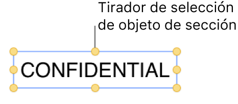 Un objeto con tiradores de selección.