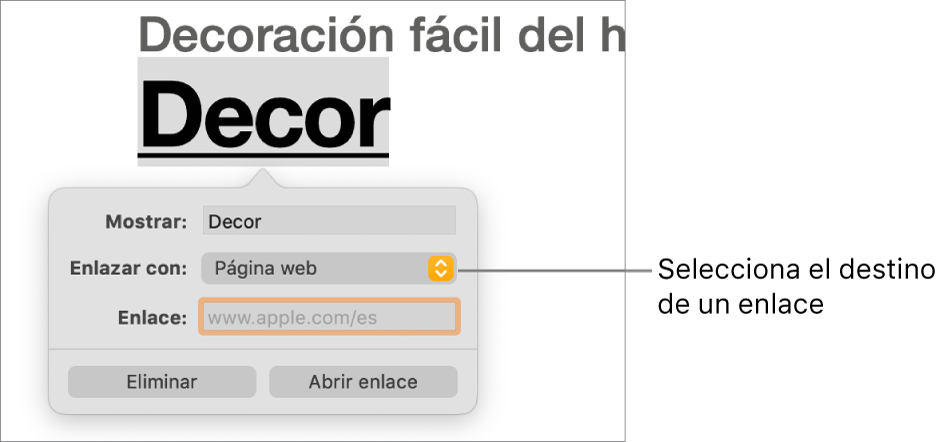 Los controles del editor de enlaces con un campo Mostrar, un menú desplegable “Enlazar a” (ajustado a “Página web”) y un campo Enlace. Los botones Eliminar y “Abrir enlace” se encuentran en la parte inferior de los controles.