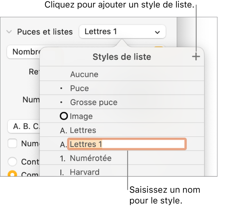 Menu contextuel Styles de liste avec un bouton Ajouter dans le coin supérieur et un nom de style de paramètre fictif dont le texte est sélectionné.