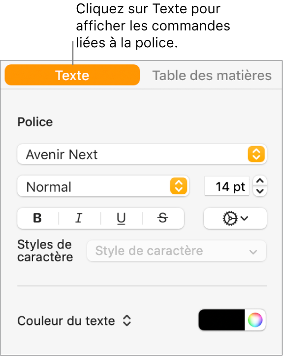 Barre latérale Format avec l’onglet Texte sélectionné et les commandes de police qui permettent de modifier la police et la taille de police, ainsi que d’ajouter des styles de caractère.