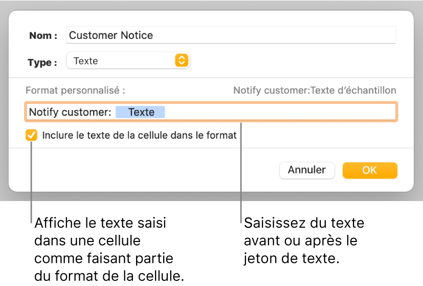 Fenêtre de format de cellule personnalisé présentant les commandes permettant de choisir un format de texte personnalisé.