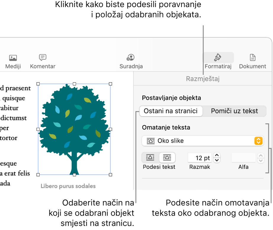 Izbornik Formatiraj s prikazanim rubnim stupcem Razmjesti. Postavke Smještanje objekta nalaze se pri vrhu rubnog stupca Razmjesti, s postavkama za Omatanje teksta.